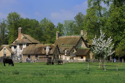 France, Yvelines, Chateau de Versailles, listed as World Heritage by UNESCO, Domaine de Marie Antoinette, Hameau de la Reine (the Queen's Hamlet), the farm
