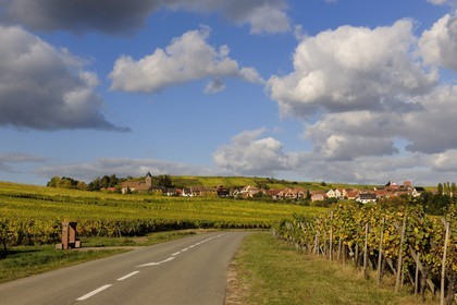 France, Bas-Rhin, Itterswiller, Alsace Wine Road