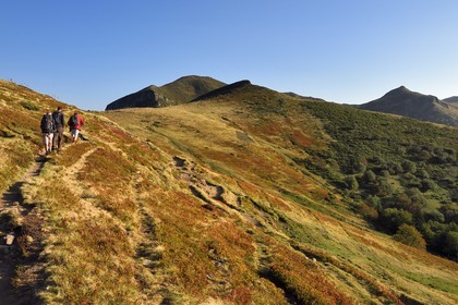 France, Cantal (15), Parc Naturel Régional des Volcans d'Auvergne, Le Lioran, randonneurs montant vers le col de Rombière sur le chemin de Saint-Jacques de Compostelle par la Via Arverna, le Puy Bataillouse et le sommet du Téton de Venus à droite en arrière plan dominant la vallée de l'Alagnon