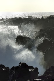 France, Ile de la Reunion, L'Etang Salé les Bains, la côte entre Le Gouffre et l'Etang du Gol, roches noires basaltiques d'origine volcanique tourmentées par l'océan, pêcheur à la ligne