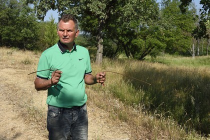 France, Var (83), Provence Verte, Bras, domaine de la maison d'hotes Le Peyrourier, le sourcier et trufficulteur Philippe Boit cherche l'eau à l'aide de ses baguettes en cuivre