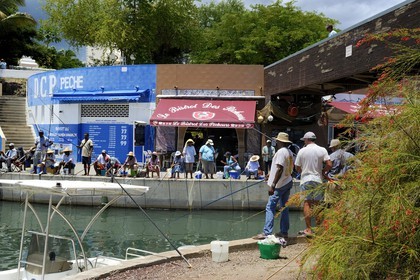 France, Ile de la Reunion, la Côte Ouest, Saint-Gilles-les-Bains, pêcheurs dans le port