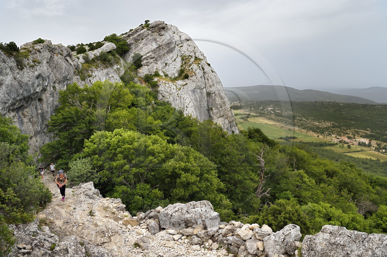 France, Var (83), Plan-d'Aups-Sainte-Baume, parc naturel régional de la Sainte-Baume, Massif de la Sainte-Baume, randonneurs grimpant le Chemin des Rois sur le GR 9 en provenance de l'Hostellerie de la Sainte Baume en bas à droite, le Saint-Pilon en arrière plan