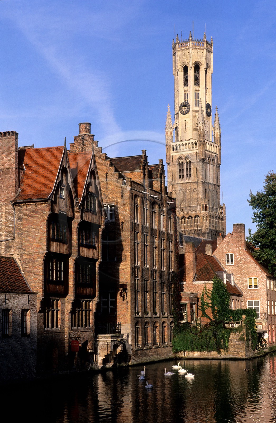 Belgique, Flandre-Occidentale, Bruges (Brugge), le beffroi de la Grand' place et le canal vu depuis le quai du Rosaire (Rozenhoedkaai)