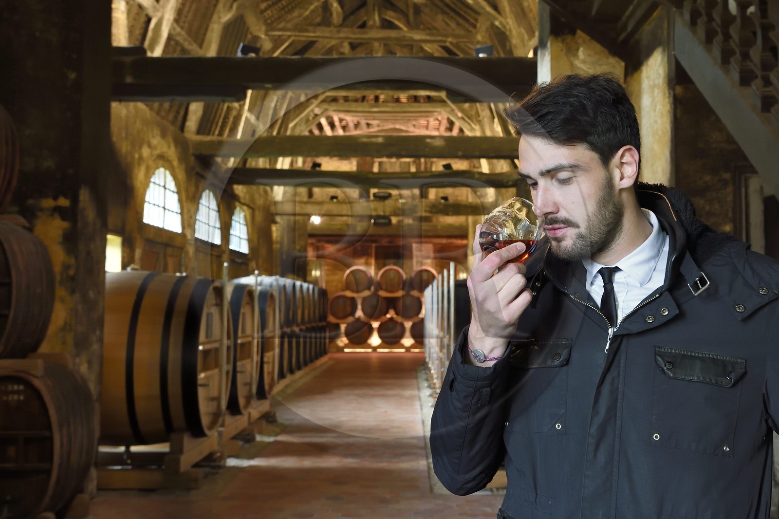 France, Calvados, Pays d'Auge, Le Breuil en Auge, Chateau du Breuil producer of Calvados AOC Pays d'Auge, barrels in aging cellars France, Calvados, Pays d'Auge, Le Breuil en Auge, Chateau du Breuil producer of Calvados AOC Pays d'Auge, barrels in aging cellars
