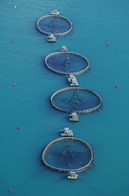 Norvège, Sor-Trondelag, pisciculture en mer (vue aérienne)