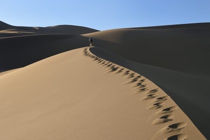 Iran, Province de Yazd, désert du Dasht-e Kavir, Moghestan, randonnée dans le massif dunaire dont la plus haute dune atteint les 200 mètres