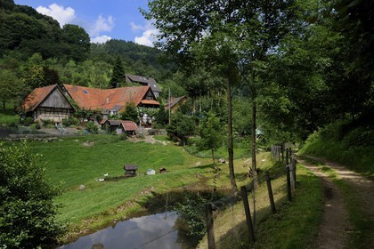 Allemagne, Forêt Noire, Schwartzwald, Bade-Würtemberg, région d'Ottenhöffen, ferme auberge de la Benz-Mühle
