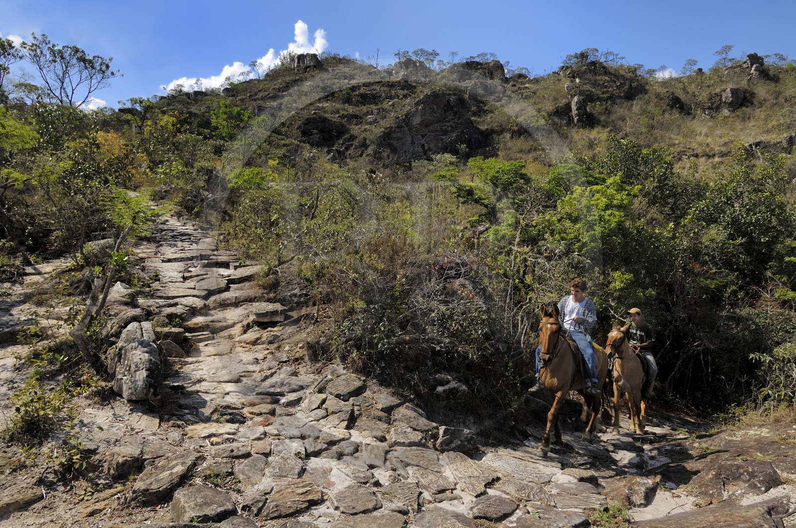 Brésil, Etat du Minas Gerais, Tirandentes, cavaliers sur l'ancienne route de l'or (Estrada Real)