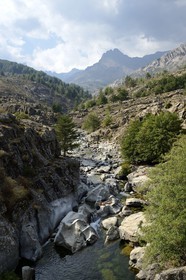 France, Haute-Corse (2B), région du Niolu (Niolo), baignades dans la rivière Golo aux alentours du pont génois Ponte Altu
