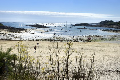 France, Finistère (29), Ile-de-Batz, plage de Pors An Iliz