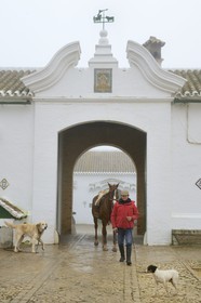 Espagne, Andalousie, province de Séville, Utrera, Finca El Pinganillo, le haras de la propriété