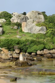 France, Cotes-d'Armor, Cote de Granit Rose (the Pink Granite coast), Ploumanach, oratory of St Guirec on the beach St Guirec in low tide
