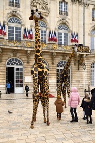 France, Meurthe-et-Moselle, Nancy, place Stanislas (former Place Royale) during the feast of Saint-Nicolas, listed as World Heritage by UNESCO, giraffes from the Teatro Pavana company
