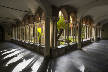 Italy, Liguria, Genoa, the historic center, Chiesa di San Matteo (church of San Matteo), the cloister