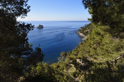 France, Var, La Seyne sur Mer, hike in the Cap Sicie massif along the Chemin du Joncquet below the Corniche Merveilleuse, the Two Brothers Rock