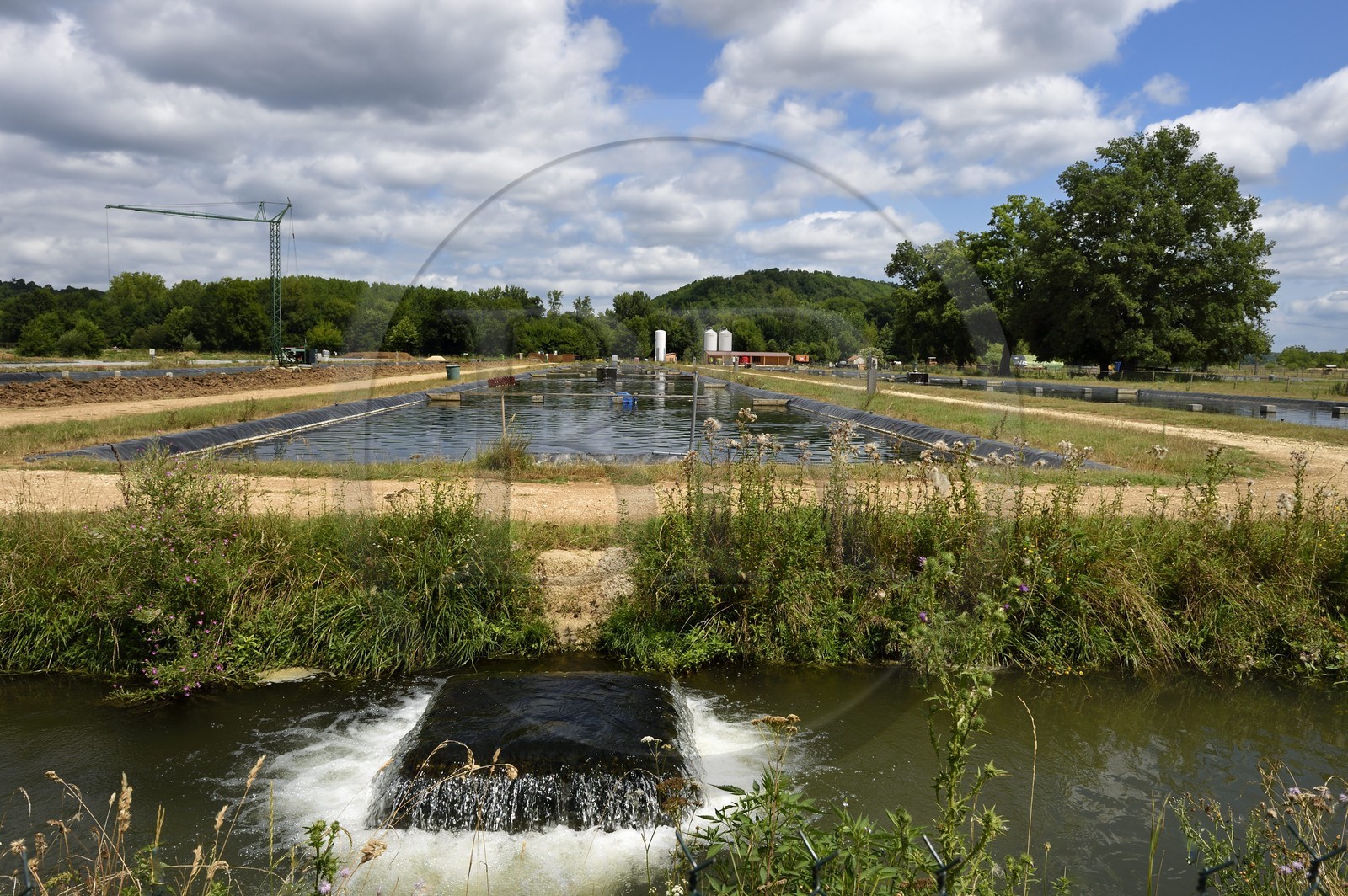 France, Dordogne (24), Périgord Blanc, Neuvic sur l'Isle, Domaine Huso, société de production du Caviar de Neuvic, les bassins à esturgeons