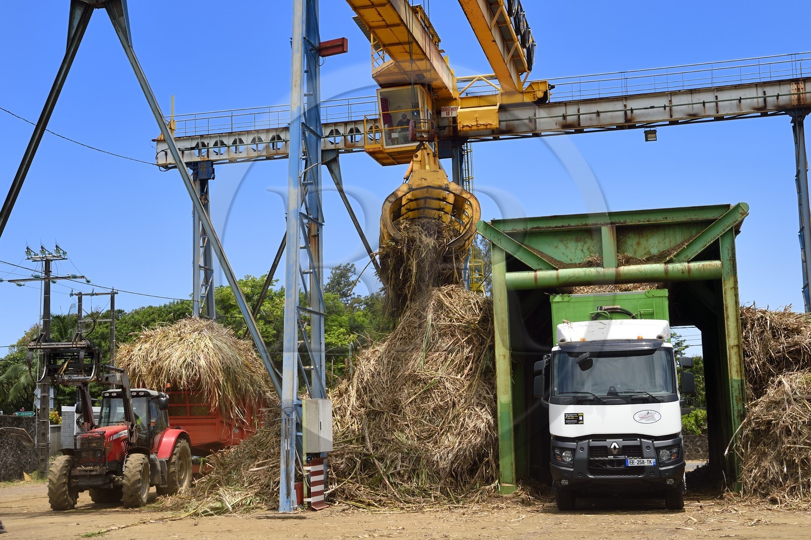 France, Ile de la Reunion, Saint-Joseph, un des 11 centres de réception et de collecte de la canne à sucre aussi appelés Balance, les tracteurs amènent depuis les champs la canne dans des remorques, elle est ensuite pesée et chargée dans de grand camions appelés cachalots pour être acheminée vers l'usine sucrière du Gol