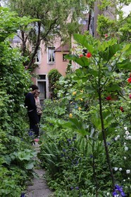 France, Côte d'Or (21), Dijon, jardin privé d'une maison rue Berbisey