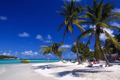 Caribbean sea, Saint Vincent and the Grenadines, Tobago Cays archipelago, beach of one of many uninhabited island