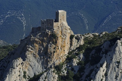 France, Aude, Cathar castle of Queribus (aerial view)