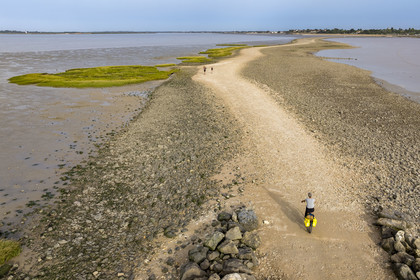 France, Charente-Maritime (17), Port-des-Barques, cycliste en randonnée, le tombolo de la Passe aux Boeufs qui relie l'Ile Madame au continent (vue aérienne)
