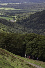 Espagne, Pays-Basque, Navarre, pèlerins sur le chemin de Saint-Jacques de Compostelle dans la descente vers Roncevaux et la Collégiale royale de Roncevaux en arrière plan