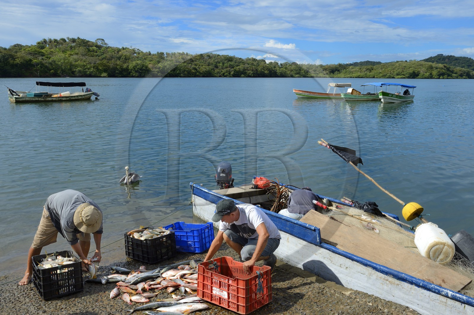 Panama, province de Chiriqui, le petit port de Boca Chica