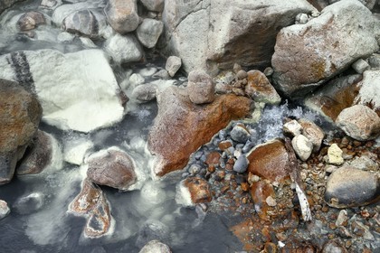 Caribbean, Dominica Island, Castle Bruce, Morne Trois Pitons National Park listed as World heritage by UNESCO, Valley of Desolation, river of hot springs, whose unique color is due to the presence of calcium, carbon, sulfur and iron, on the trail leading to Boiling Lake
