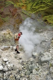 Caribbean, Dominica Island, Castle Bruce, Morne Trois Pitons National Park listed as World heritage by UNESCO, Valley of Desolation with fumaroles and hot springs, hike on the trail to Boiling Lake