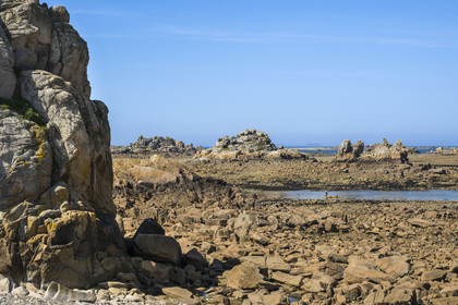 France, Côtes-d'Armor (22), Côte d'Ajoncs, Plougrescant, la plage de Pors (Porz) Scaff à marée basse