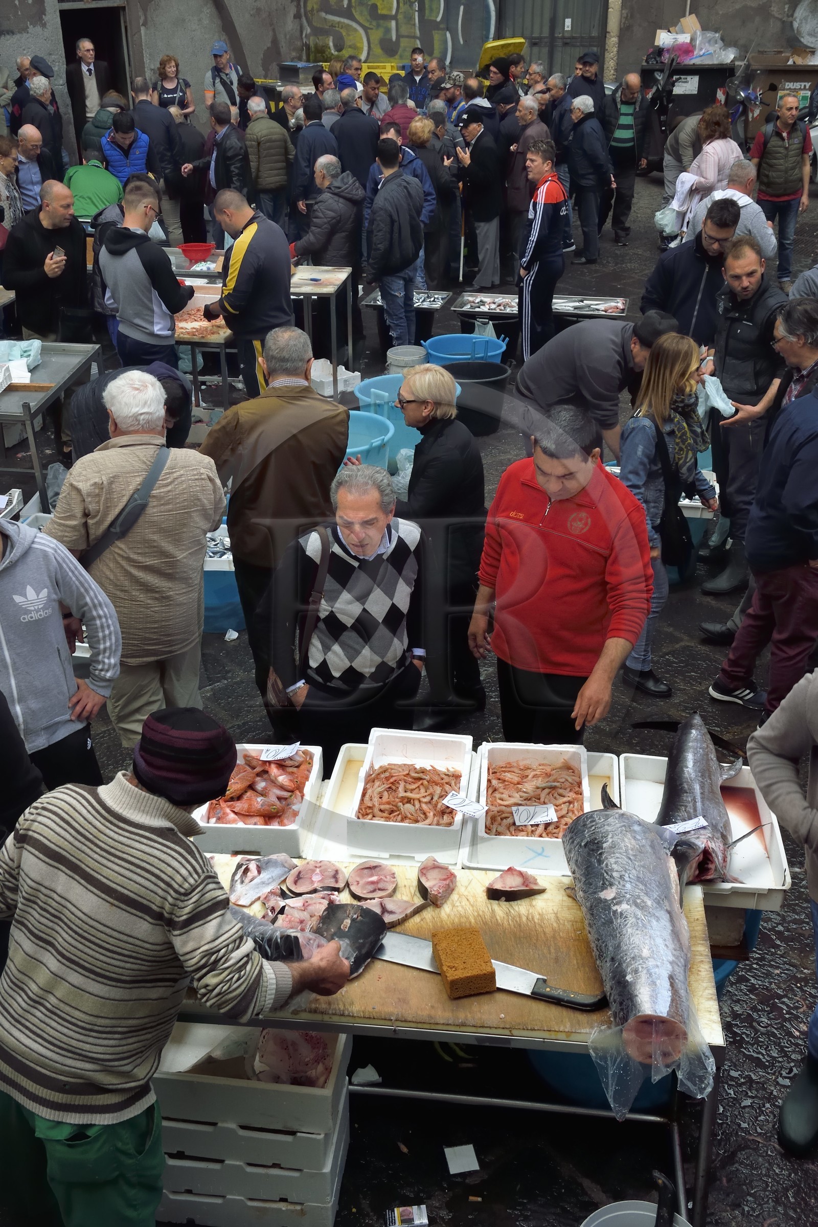 Italie, Sicile, Catane, ville baroque classée au Patrimoine Mondial de l'UNESCO, le marché aux poissons Pescheria de la Piazza Alonzo di Benedetto