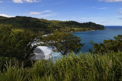 Caribbean, Dominica Island, East coast, Pagua Bay