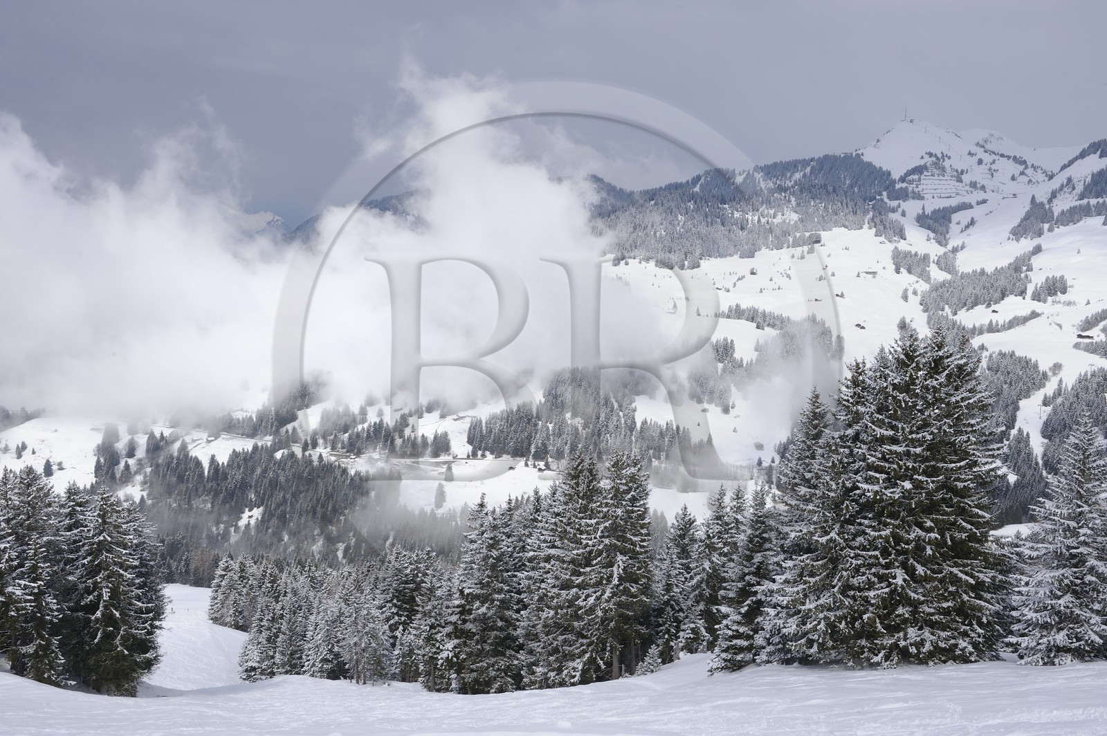 Suisse, Canton de Vaud, Domaine skiable de Villars sur Ollon - Gryon