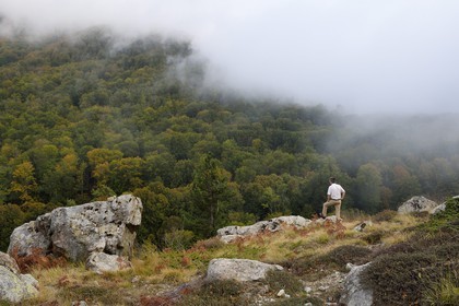 France, Haute Corse, Vivario, hiking on the GR 20, between Onda refuge and Vizzavona, Vizzavona forest at the Vizzavona pass