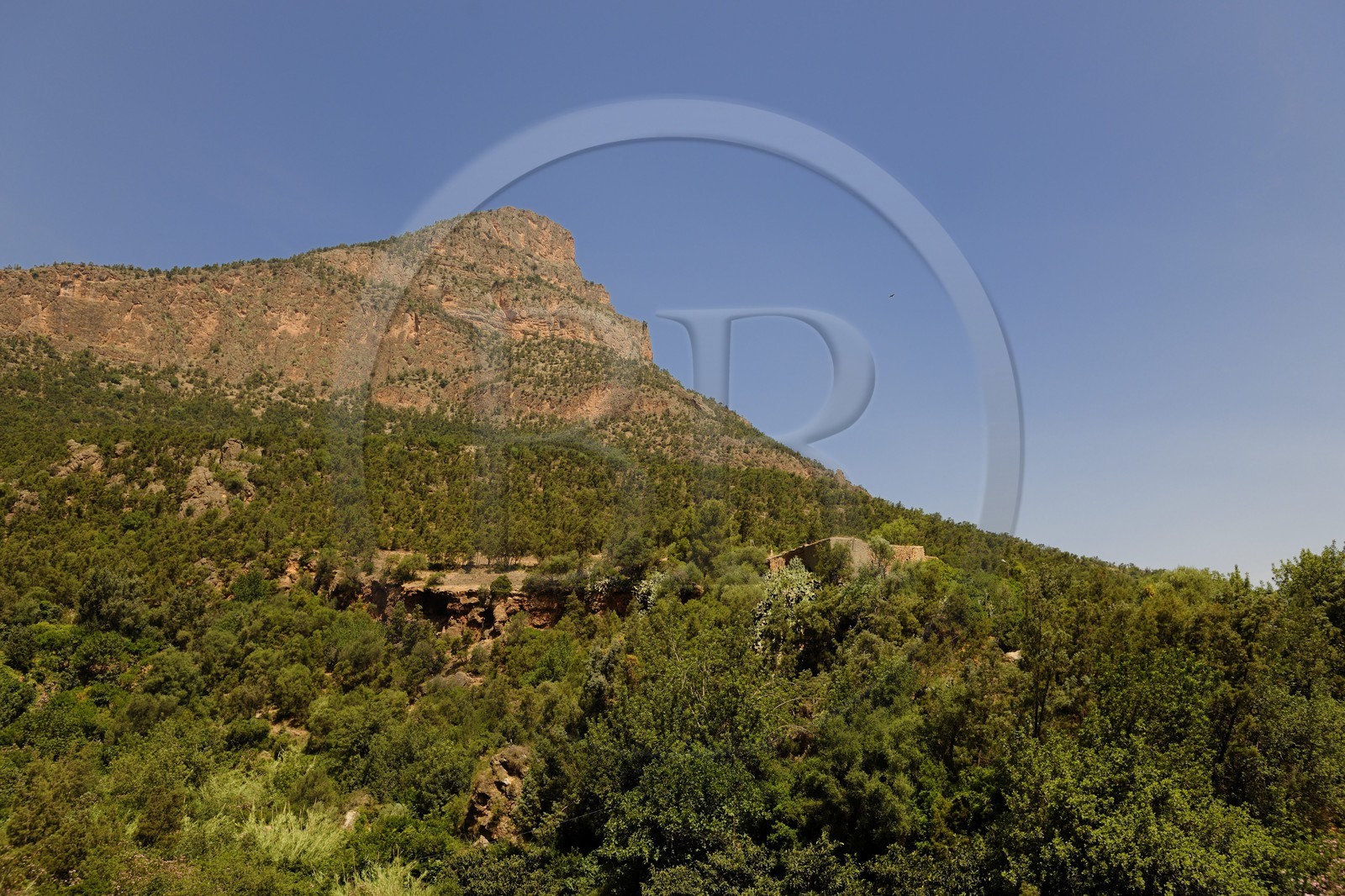 Maroc, région de l'Oriental, les montagnes rifaines de Béni-Snassen (ou encore Ayt Iznassen) au Nord-Est du pays