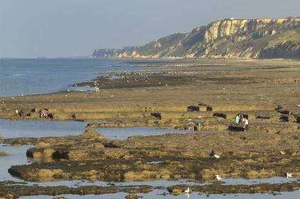 France, Calvados, Port en Bessin, fishing at low tide