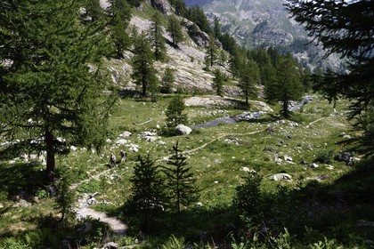 France, Alpes-Maritimes (06), parc national du Mercantour, randonneurs sur le sentier de randonnée de la vallée de la Valmasque