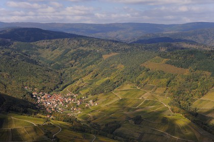 France, Bas Rhin, village of Reichsfeld and its vineyard at the bottom of Vosges Massif (aerial view)