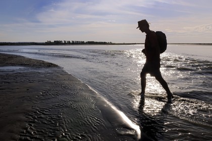 France, Manche, crossing by walking of the Bay of Mont Saint Michel, listed as World Heritage by UNESCO