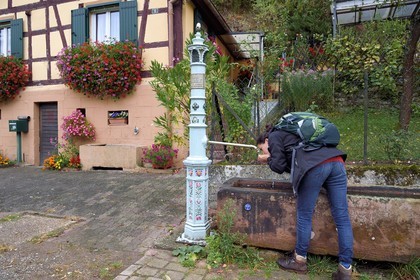France, Bas Rhin, Northern Vosges Regional Natural Park, Niedersteinbach, hiker drinking at one of the many fountains of the village
