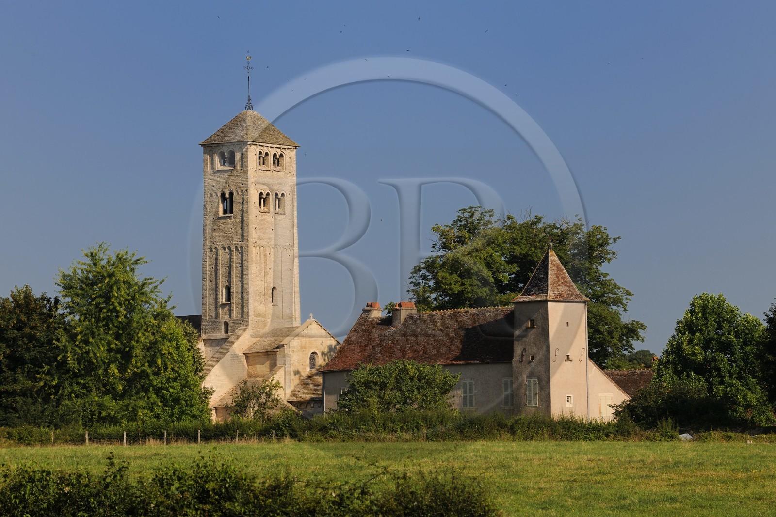 France, Saône-et-Loire (71), Chapaize, église romane Saint-Martin