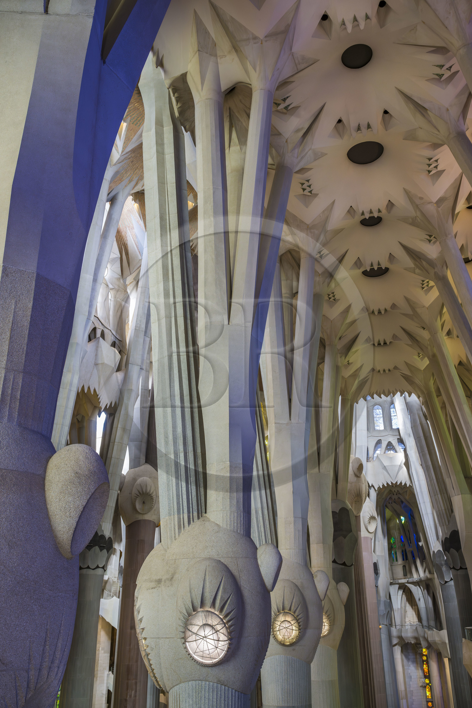 Espagne, Catalogne, Barcelone, quartier de l'Eixample, basilique de la Sagrada Familia de l'architecte du modernisme catalan Antoni Gaudi classée Patrimoine Mondial de l'UNESCO, au dessus du noeud, les colonnes du vaisseau central (nef) se subdivisent en branches tel un arbre