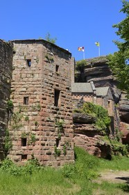 France, Bas-Rhin (67),  Saverne, chateau du Haut-Barr  du XI-XIVème siècle
