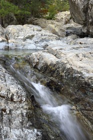 France, Haute Corse, Vivario, hiking on the GR 20, between Onda refuge and Vizzavona, Vizzavona forest, Englishmen cascades, waterfalls group in the Agnone valley