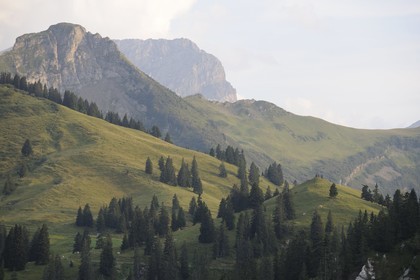 Switzerland, canton of Vaud, Les Diablerets at Col de la Croix