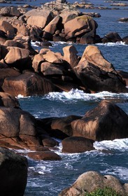 France, Côtes d'Armor, The pink granite coast near Ploumanach (region of Perros Guirrec)