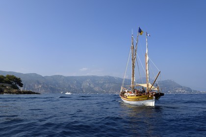 France, Alpes-Maritimes, Saint Jean Cap Ferrat, sea trip on the Santo Sospir boat with the SOS Grand Bleu association for watching dolphins and whales in the Pelagos Sanctuary