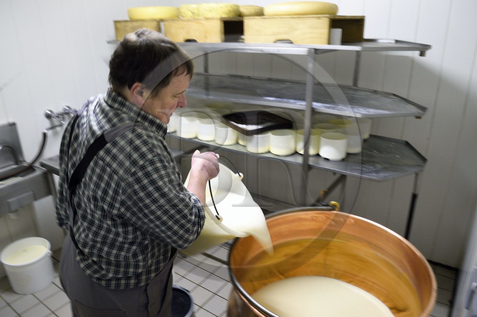 France, Haut-Rhin (68), Wasserbourg, Ferme-auberge Buchwald, le marcaire Michel Wehrey à la fabrication du fromage de munster AOP (lait de vache) dans un chaudron en cuivre