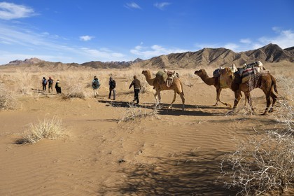 Iran, Isfahan province, Dasht-e Kavir desert, Mesr in Khur and Biabanak County, camel train in a camel trek